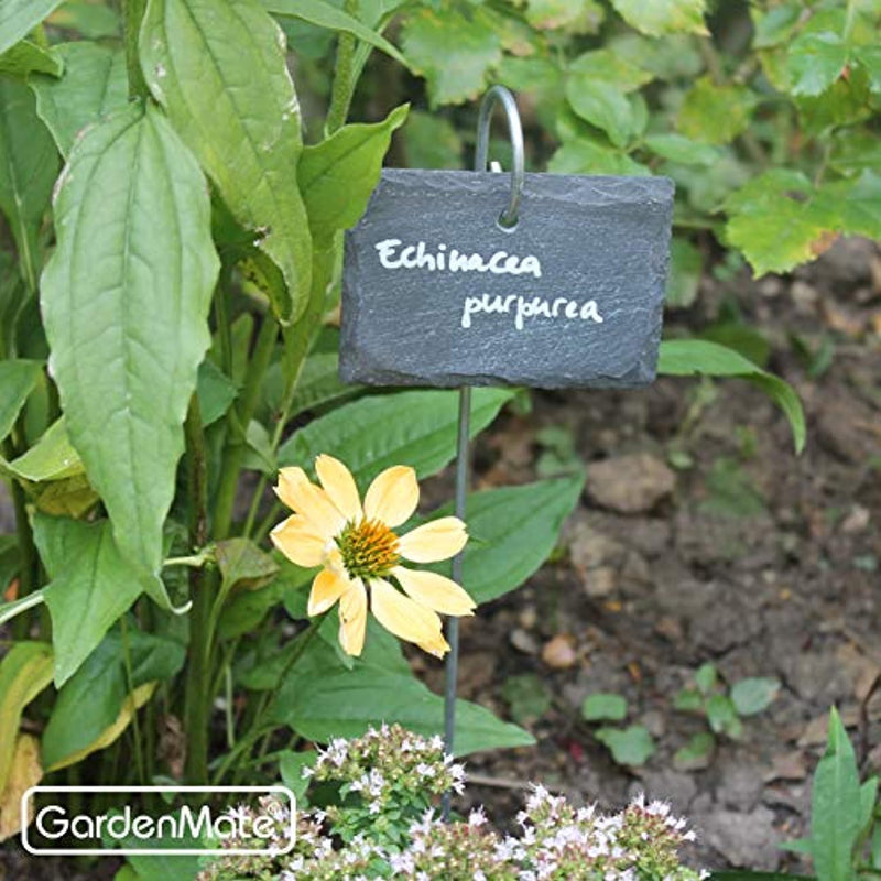 GardenMate 10-Pack Natural Style Slate Plant Labels