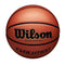 Wilson Evolution Game Basketball