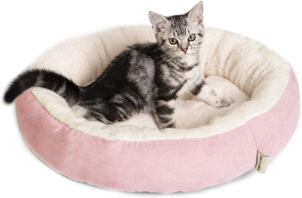 Tempcore Cat Bed for Indoor Cats