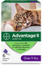 Bayer Animal Health Advantage